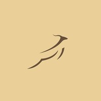 Bushman Safaris logo - Similar company to Amicare Inc.