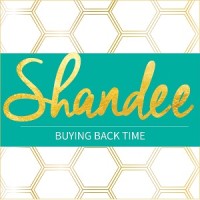 Shandee Virtual Assistants logo - Similar company to The Virtual Studio