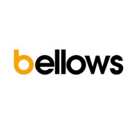 Bellows Automation AB logo - Similar company to Bellows