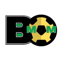 Ball Manager Malaysia logo - Similar company to Tertiary Infotech Sdn. Bhd