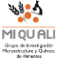 MiQuAli - UPV logo - Similar company to Med.Live - Telemedicine Platform