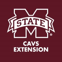 Mississippi State University CAVS Extension logo - Similar company to Office Of Research And Economic Development - Mississippi State University