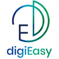 digiEasy Company Limited logo - Similar company to Baltrans International Moving Limited