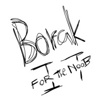 Borak IT logo - Similar company to Datack Sdn Bhd