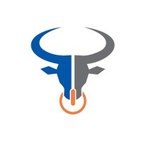 Bs Consulting