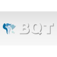 BQT Global logo - Similar company to Axis Blueschild Group