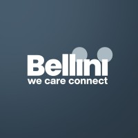 Bellini Tiziana Srl logo - Similar company to Be Tech S.R.L.