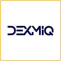 Dexmiq Solutions logo - Similar company to Onlinemandi