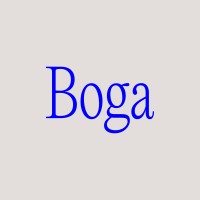 Boga logo - Similar company to Ene13