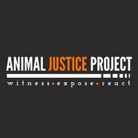 Animal Justice Project logo - Similar company to Accessible Intelligence