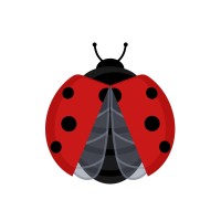 KILLING NUISIBLES NC                        Dératisation, Désinsectisation, Désinfection logo - Similar company to Dt-Solution