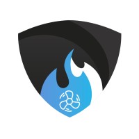 DK Gas Professional logo - Similar company to Mk4 Electrical Solutions Ltd