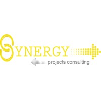Synergy Projects Consulting (Pty) Ltd logo - Similar company to Barwit Projects