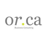 ORCA Business Consulting logo - Similar company to Almacén Gurú