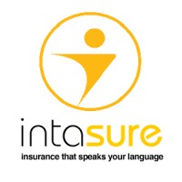Intasure logo - Similar company to Fourblue