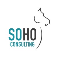 SOHO Consulting logo - Similar company to Soho Consulting