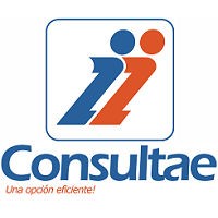 Consultae logo - Similar company to Sowesoft_Es