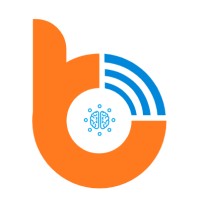 Brain Aims logo - Similar company to Saltmine Strategy And Creative