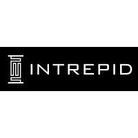 Intrepid Consulting logo - Similar company to Intrepid Consulting