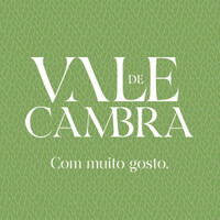 Vale de Cambra logo - Similar company to Município De Vale De Cambra