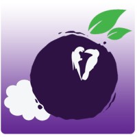 Açaí São Industria e Comércio Açaí logo - Similar company to Maria Pumar Indústria