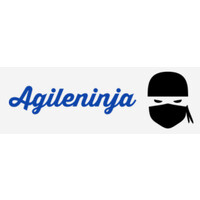 AgileNinja Consulting logo - Similar company to Leadwala