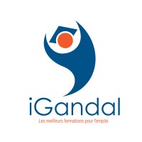 iGandal logo - Similar company to Technologie House