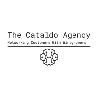 The Cataldo Agency logo - Similar company to Lukka Digital - Website Design Agency