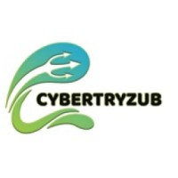 Cybertryzub InfoSec Private Limited logo - Similar company to Cybernerd