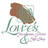 Lowe'S Greenhouse