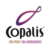 COPALIS INDUSTRIE logo - Similar company to Marcel Baey