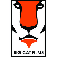 Big Cat Films logo - Similar company to Eastern Tv