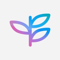 Springboard Talent