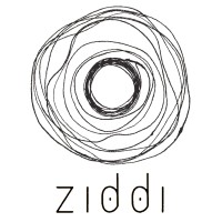Ziddi logo - Similar company to Mindtech World | Performance Marketing Tracking  Platform | Igaming Affiliate Marketing Platform