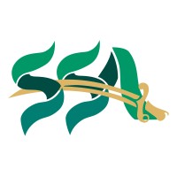 Saudi Student Association - UW Seattle logo - Similar company to Boston University Saudi Cultural Club