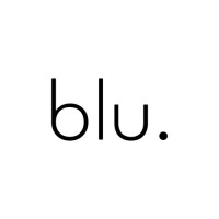 blu. logo - Similar company to Suns Brasil