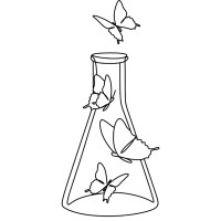 Dream Lab Coaching