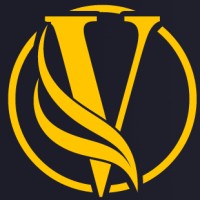 Vedatman Digital Solution logo - Similar company to Plambindia Software Solution