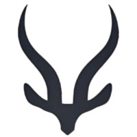 Kudu Medical Technologies logo - Similar company to Saforax Ltd.