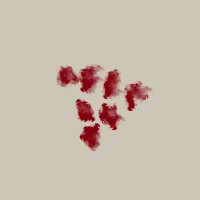 Vinyera logo - Similar company to Artofmany.