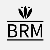 Brm Web Dev