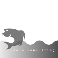 Kewin Consulting logo - Similar company to Loraxian Inc.