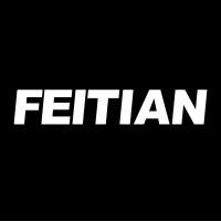 FEITIAN Technologies US logo - Similar company to Feitian Technologies Co., Ltd.