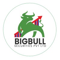 BigBull Securities Pvt Ltd logo - Similar company to Traderivative
