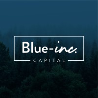 Blue-inc. Capital logo - Similar company to Versara Capital
