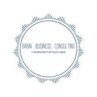 Babin Business Consulting logo - Similar company to Affinity Initiative