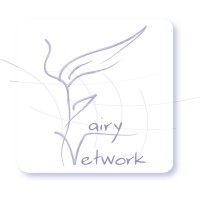 Fairynetwork logo - Similar company to Info Process
