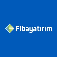 Fibayatırım logo - Similar company to Dtpay