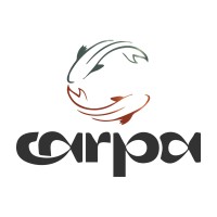 Carpa Câmbio logo - Similar company to Lince Performance