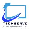 TechServe logo - Similar company to Techserve